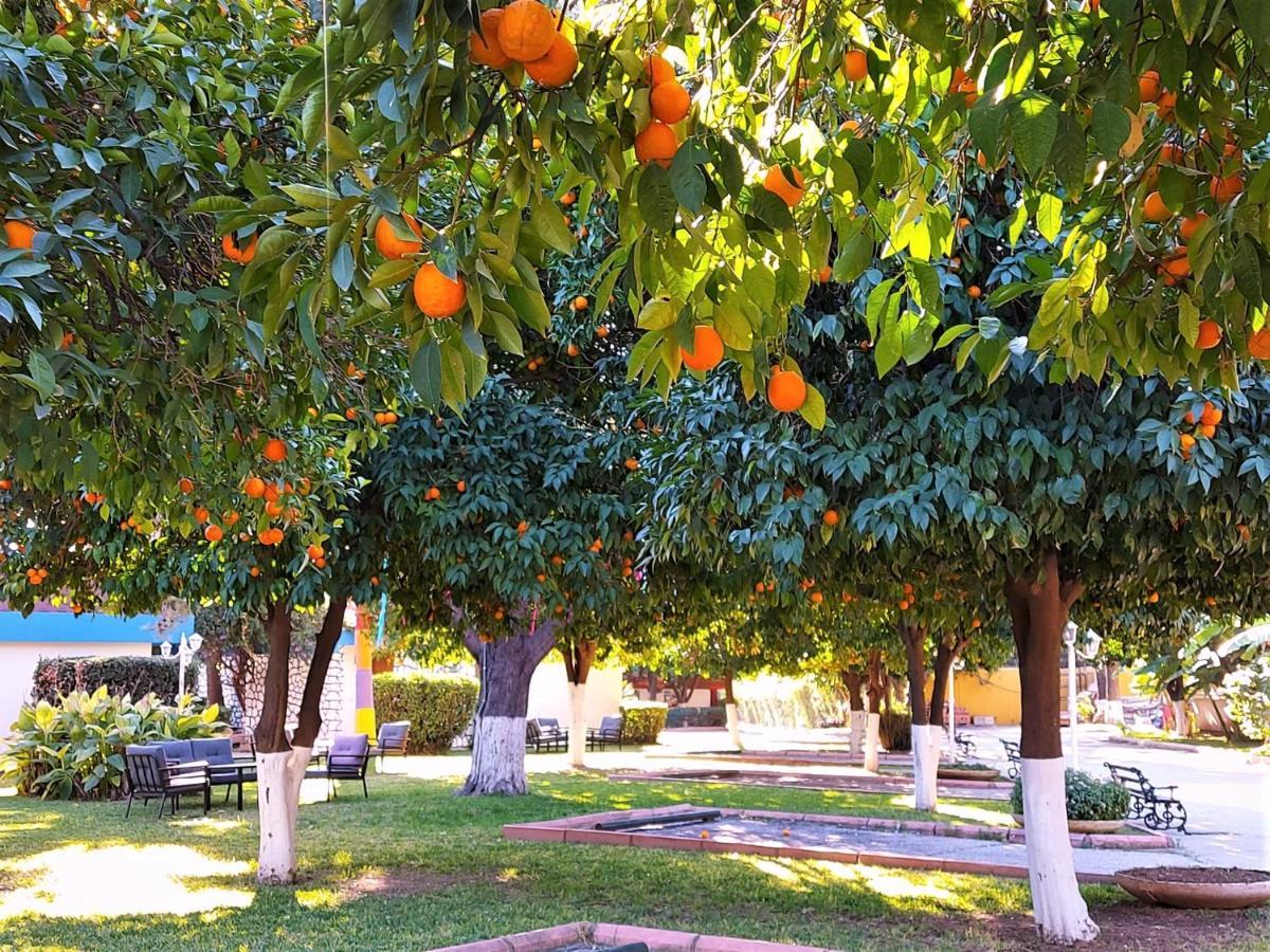 Cetinel Otel Adana Kültér fotó
