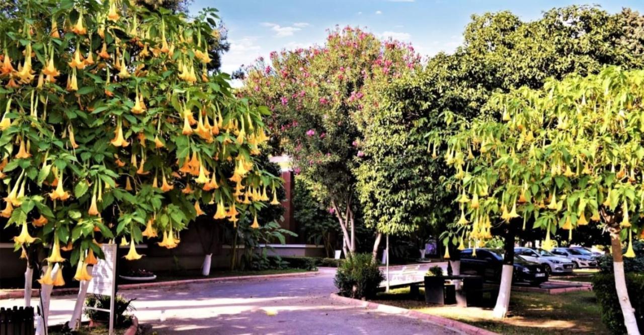 Cetinel Otel Adana Kültér fotó